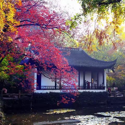 醉美秋色一曲水园