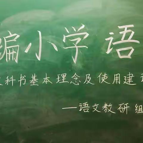 睿德金声||积极搭建教师专业成长的绿色平台