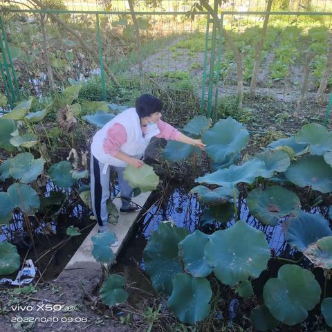 睿杰幼教集团石化幼儿园——快乐童趣，多彩秋天——蒙中二班