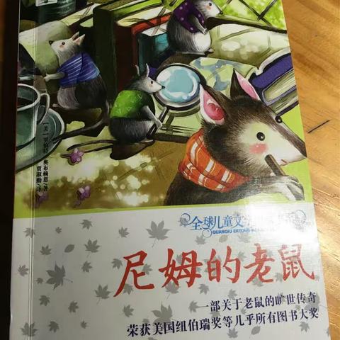尼姆的老鼠