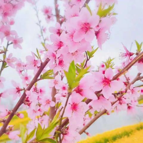 特殊假期，我的成长