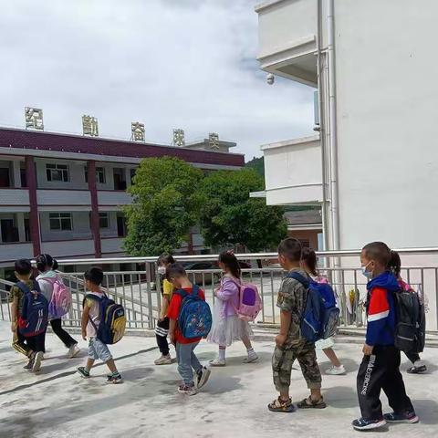 参观小学新体验  向往入学初萌芽