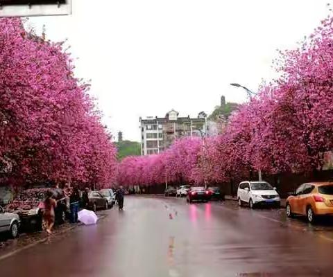 在信息技术融合中提升德育教育实效 ——记古小2018年春信息技术融合德育课比赛