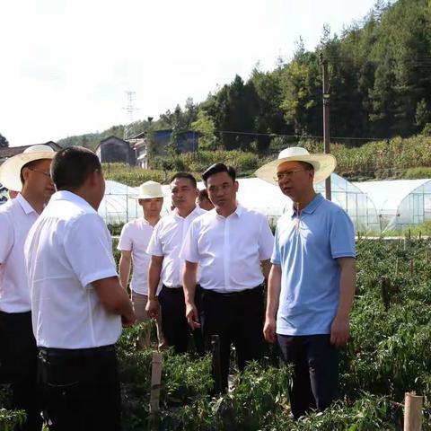 太平村基层的一周，＜第45期＞