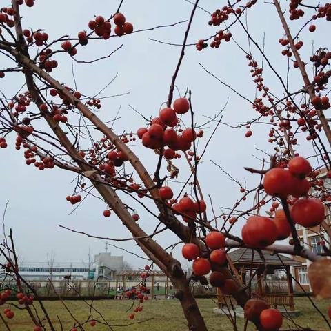 陈官中学体育特长是我们学习的榜样！