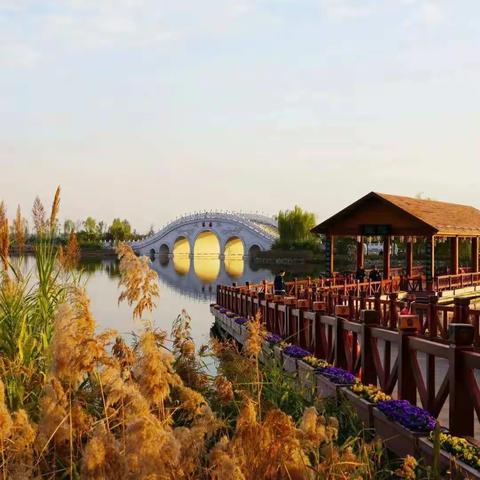 你“阳”了吗？疫情之下的我们