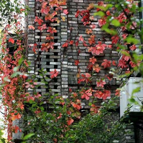 这一切无关风月