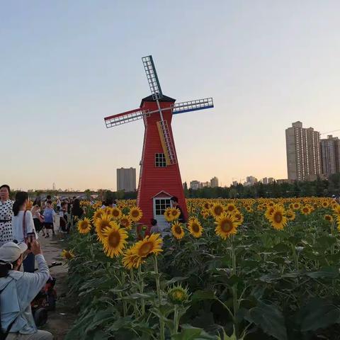 我曾经多么害怕变老