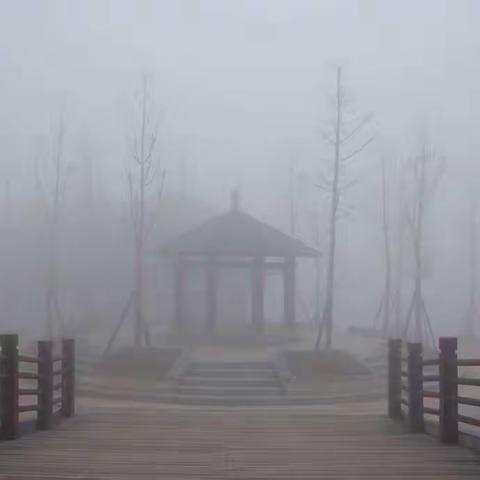 晨雾随拍