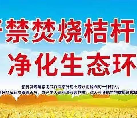 正基小学：禁烧秸秆，净化生态环境