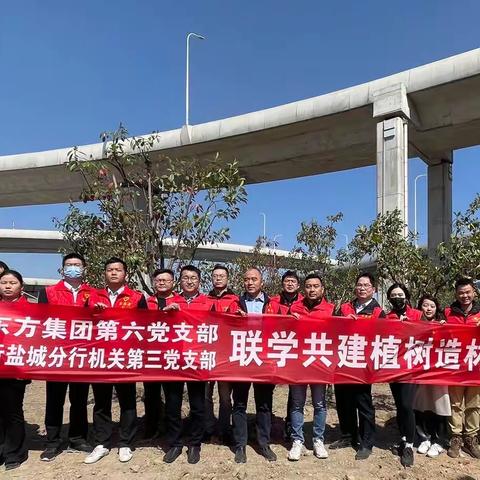 开展学雷锋树新风联学共建植树造林主题党日活动