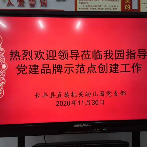 党建领航，聚力发展———长丰县县委组织部领导莅临我园调研党建品牌示范点创建工作