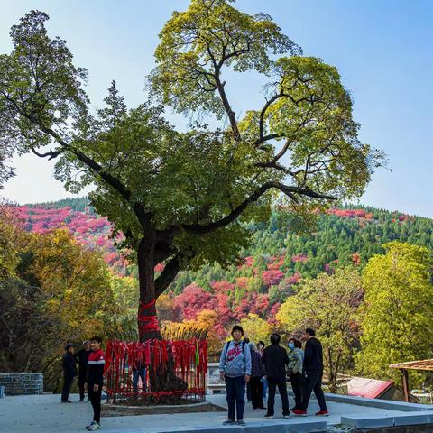 五彩斑斓——捎近村