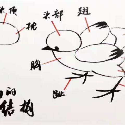 水墨小鸡——北关小学国画社团疫情复课后第一周活动纪实