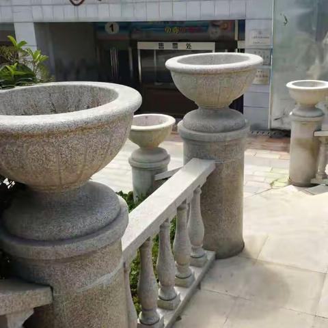 青岛第三天——黄岛贝壳博物馆