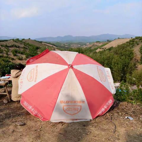 山野里的一抹彩虹