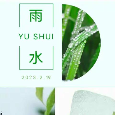 【草木萌动，雨水有约】——帽杨幼儿园“雨水”节气主题活动