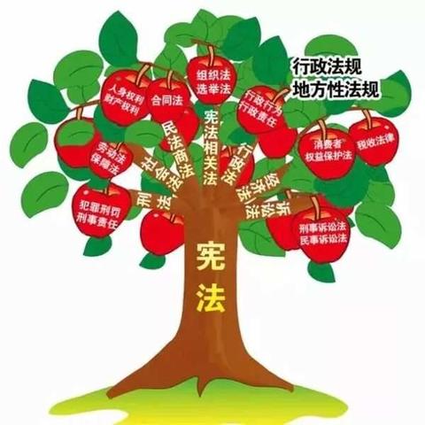 三亚和平新校区国家宪法日活动暨受聘仪式