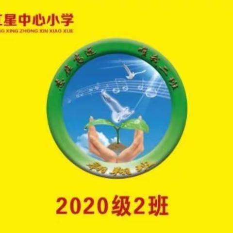 “践行劳动实践，弘扬传统文化”--红星中心小学2023年三年二班“童年不同样，双减迎新年 ”春节劳动教育纪实