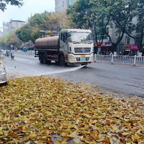 当“落叶季”撞上“强降雨”，启动应急作业预案