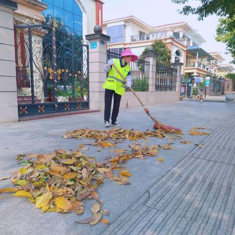 又到一年落叶季 环卫工人清扫忙