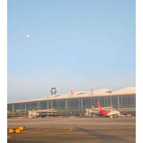 金秋十月，赏胡杨美景