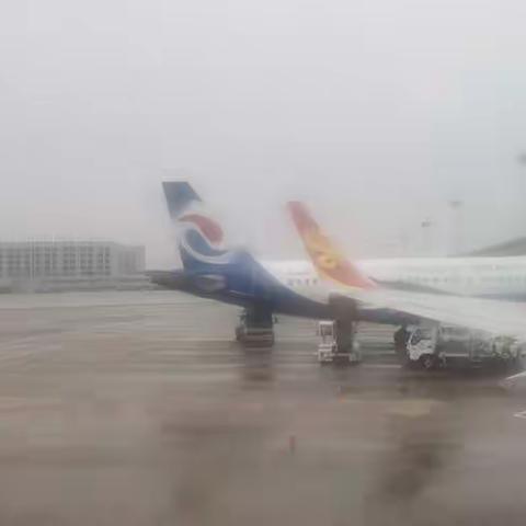 广州重庆吃，住，行之游玩纪实（20201021-27）