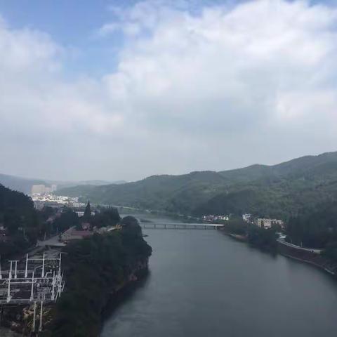 八月桂花