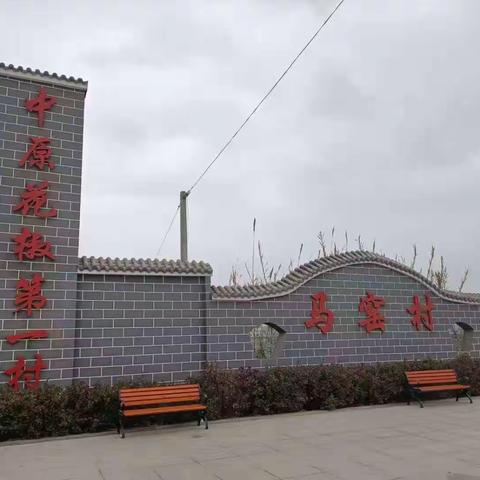 学先进，找差距，促进乡村振兴