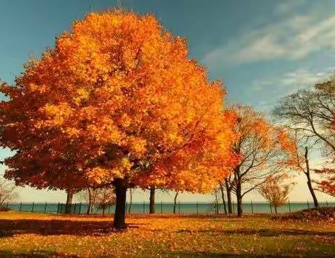 灵动课堂    引领成长 ——云南省初中物理原会兰名师工作坊研修活动