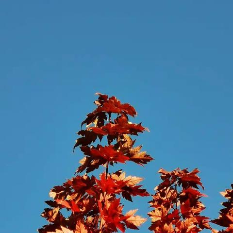 一个个温暖的瞬间