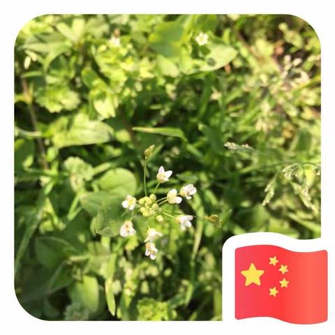 停课不停学，隔离不隔爱