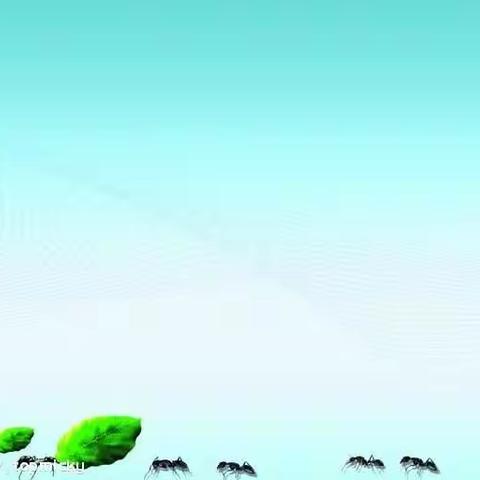 坚实的脚步  踏出安全之路——为公司安全生产保驾护航的安监人员