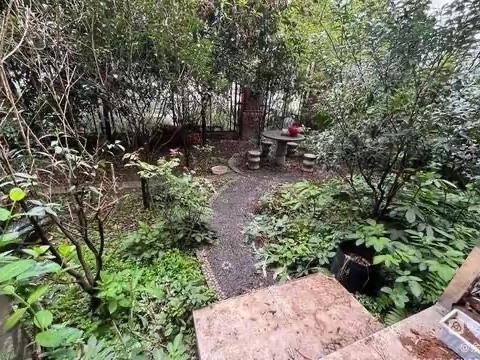 万达片区，学区房，春天公馆。321户型，产权79带70平花园，报价64.8看房热线66226