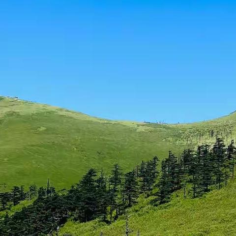 7月24日徒步鹿角梁