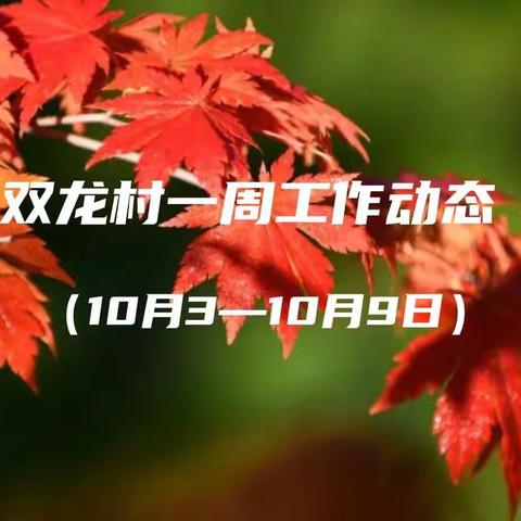 高桥镇双龙村村民委员会工作动态的美篇