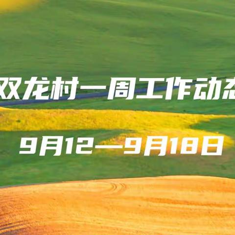 高桥镇双龙村村民委员会工作动态的美篇