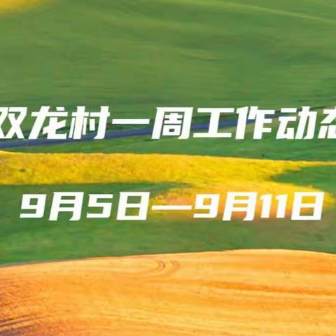 高桥镇双龙村村民委员会工作动态的美篇