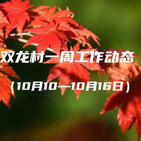 高桥镇双龙村村民委员会工作动态的美篇