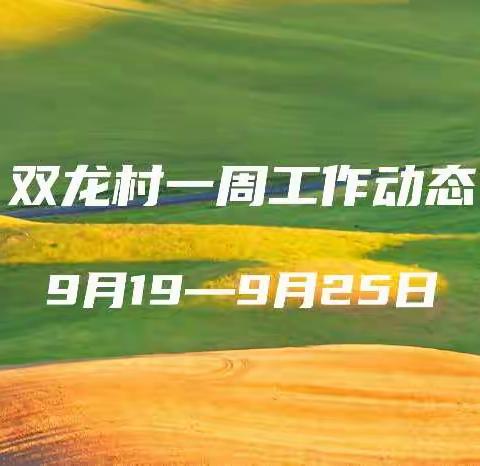 高桥镇双龙村周工作动态速览