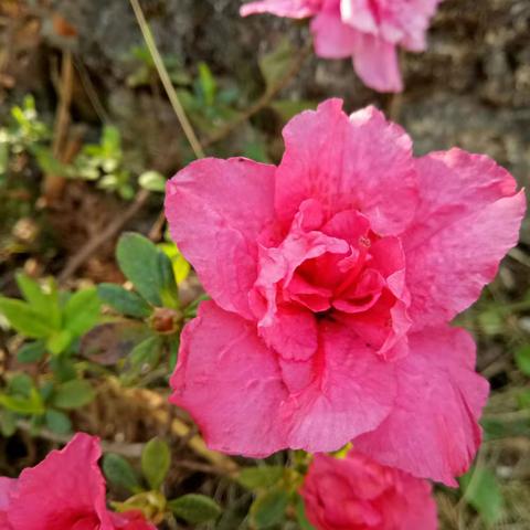 3.5日，雷锋纪念日