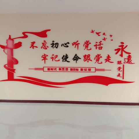 宏伟镇镇长于海明、纪委书记刘绍峰现场调研，就双兴村长远规划及河东卡口日常工作开展调研。