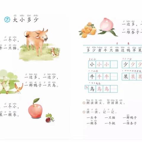 黑马弘毅学校一年级「跟着课文学表达」之《大小多少》