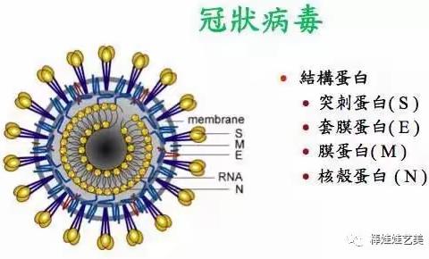 开江县任市镇第一小学幼儿园“停课不停学、家校心连心”———保健篇