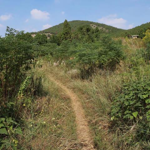 【005】登顶徐州八十一峰之银山