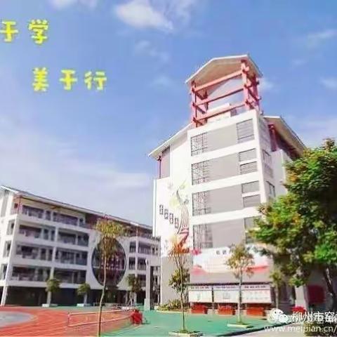 聚焦学科素养   助力乐美学子——语文主题教学党小组行动学习
