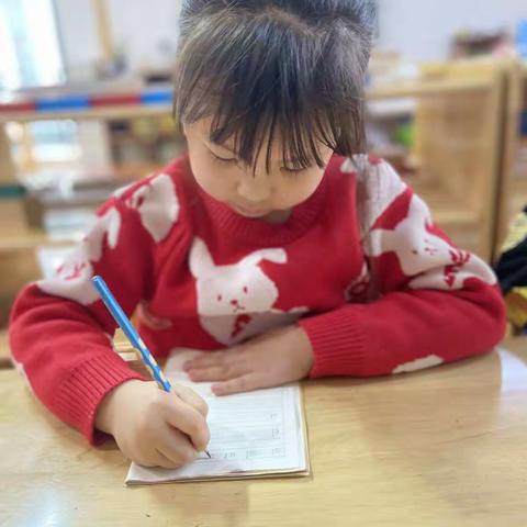 🍒童心探索🕵🕵