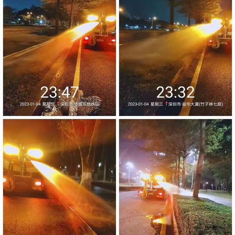 深爱绿化，圳美花开—D1标深南大道2023年1月份工作总结