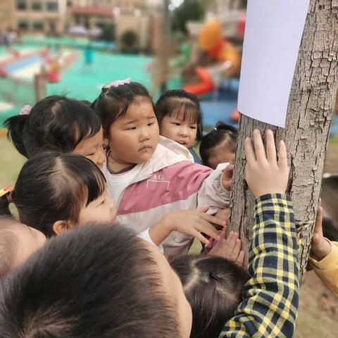 自然美育   ‖  工作小记