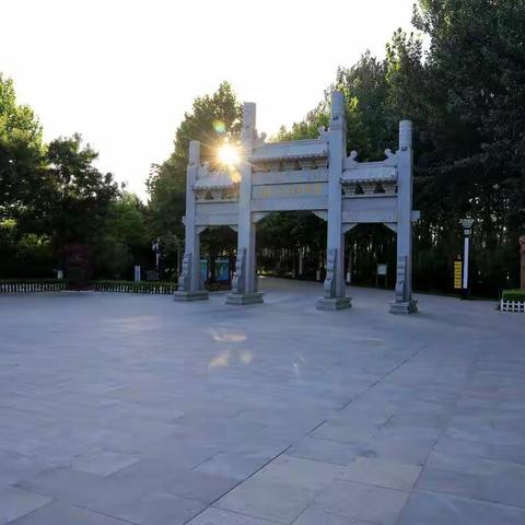 老学传的美篇